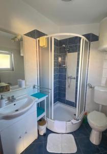 萨利Apartments by the sea Sali, Dugi otok - 8110的带淋浴、盥洗盆和卫生间的浴室