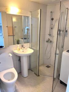 首尔Hongdae Station loft apartment的浴室配有卫生间、淋浴和盥洗盆。