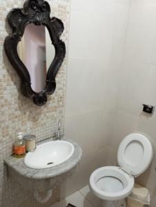 圣若昂-达巴拉Mini Casa Furnas - Capitólio MG的一间带水槽、卫生间和镜子的浴室