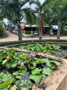 乌隆他尼Udon House的公园里花草花 ⁇ 的池塘
