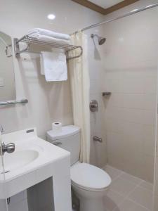 桑托斯将军城PHELA GRANDE HOTEL的白色的浴室设有卫生间和淋浴。