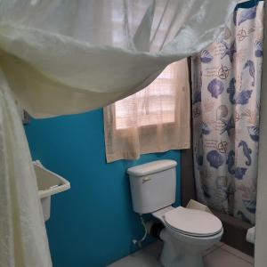 贝尔莫潘热带庄园旅馆的蓝色的浴室设有卫生间和窗户。