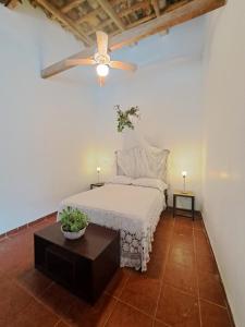 JalcomulcoCasa con alberca, cerca del rio的卧室配有白色的床和吊扇