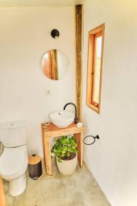 巴尔内阿里奥坎布宜诺斯艾利斯FARMGLAMP的一间带卫生间、水槽和镜子的浴室