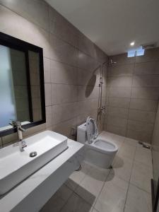 芹苴khách sạn tina 5的一间带水槽、卫生间和镜子的浴室