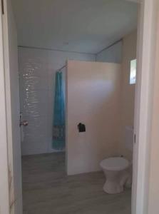 穆里Dominic's Beach Bungalow的白色的浴室设有卫生间和淋浴。