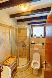 瓦拉日丁Villa Toscana with jacuzzy的带淋浴、卫生间和盥洗盆的浴室