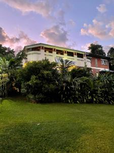 Babinda巴比纳地区旅馆的前面有绿色草坪的建筑