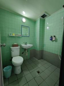 屏东县绿洲大旅社 的绿色浴室设有卫生间和水槽