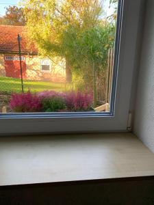 诺伊恩斯塔特阿姆科黑尔Ferienwohnung am Kocher-Jagst Radweg的紫色花卉花园美景窗户