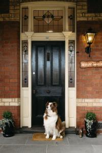 本迪戈Luxurious terrace home in heart of town的坐在门前地毯上的狗