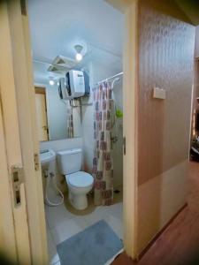 泗水Tanglin Orchard Apartment (2BR)的一间带卫生间和淋浴帘的浴室