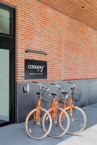 波士顿Canopy By Hilton Boston Downtown的两辆橘子自行车停在砖砌建筑旁边