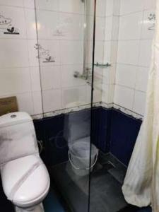 大吉岭Darjeeling La Resort的一间带卫生间和淋浴的小浴室