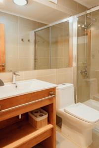 科伊艾科PURA Hotel的一间带水槽、卫生间和淋浴的浴室
