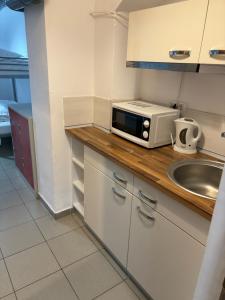 布加勒斯特Piata Uniri Cozy Inn的厨房配有水槽和台面上的微波炉