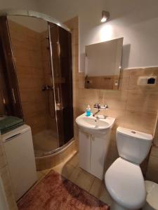 卢布林LittleRoom的浴室配有卫生间、盥洗盆和淋浴。