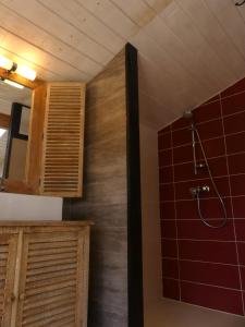 DamiatteGites Arnoult的带淋浴的浴室和红色瓷砖墙