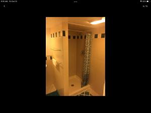 巴尔的摩Gateway en-suite bedroom next jhu的带淋浴和浴帘的浴室