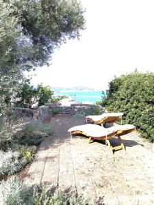 伊斯基亚Villa Ghezzi Sea View的两把长椅坐在靠近海洋的石头走道上
