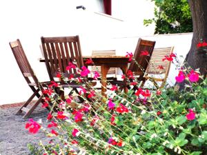 伊斯基亚Villa Ghezzi Sea View的两张椅子和一张桌子,还有一些红花