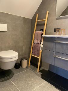 DiffelenB&B Het Nijenhuis的一间带卫生间和毛巾架的浴室