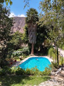 MalataSangalle Cielo Lodge的棕榈树花园中的游泳池