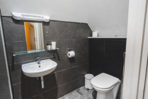 West DeanThe Selsey Arms的一间带水槽、卫生间和镜子的浴室