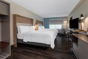 坦帕温盖特温德姆坦帕USF/布什花园酒店的酒店客房设有一张大床和一台电视。