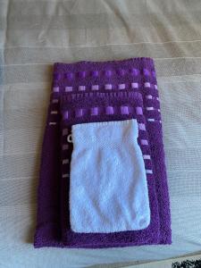 MontournaisChambre Rêve américain的床上的紫色和白色毯子