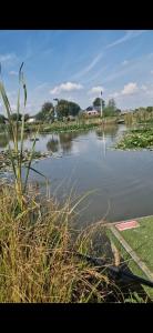 OrbyHerons Mead Touring Park and Fishing Lakes - Plot 18的一片水体,有草和杂草