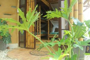 米卡Sol de Minca Eco Lodge的植物屋的敞开的门