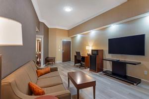 班戈班戈康福特茵酒店的带沙发和平面电视的客厅