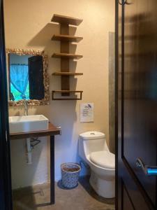 El ViejoJava Jungle的一间带卫生间、水槽和镜子的浴室