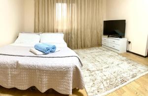 阿拉木图Town House, metro Raiymbek的一间卧室配有一张床、电视和毛巾