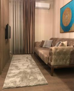 新帕扎尔Apartmani SOVA的带沙发和地毯的客厅