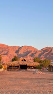 努韦巴Alwaha Camp的沙漠中带草屋顶的小屋