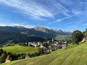 维尔德豪斯Chalet Müsli的山丘上的小村庄,山丘背景