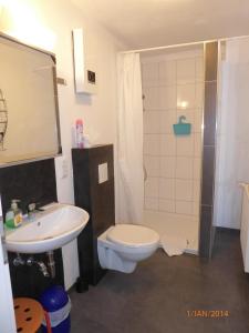 皮特林根"Bärenhaus" Ferienwohnung的浴室配有卫生间、盥洗盆和淋浴。