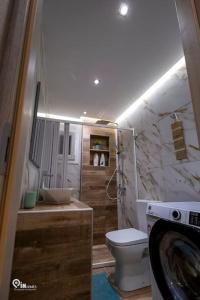 雅典'The Mint' House Project In Athens的一间带卫生间和洗衣机的浴室