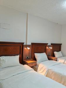 瓦迪穆萨埃及艳后酒店的配有白色床单的客房内的三张床