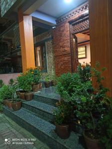 索拉哈Hotel Namo Buddha的建筑台阶上的盆栽植物群