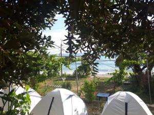 博尔什Camping Jungle in Borsh的一组以海洋为背景的帐篷