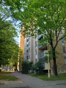 奥西耶克Apartman MINNA2, free parking的前面有一棵树的高楼