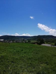 Saint-Étienne-lès-RemiremontLa Maison Bleue的一片绿草丛,山地背景