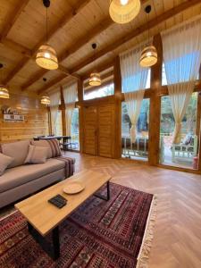 欧拉كوخ آفيري Aviary Hut的带沙发和咖啡桌的客厅
