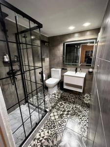 圣地亚哥APARTAMENTO PROVIDENCIA的浴室配有卫生间、盥洗盆和淋浴。
