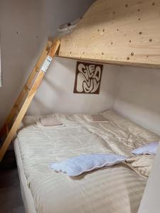 Luka nad JihlavouTiny Home Kontík的一间卧室配有双层床