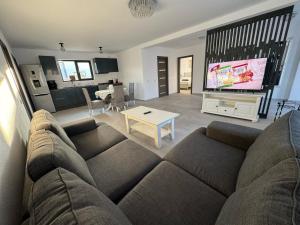 阿尔杰什河畔库尔泰亚Casa Andreea的带沙发和电视的客厅