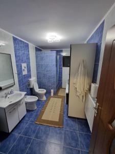 Letea VecheCasa Sava的蓝色的浴室设有卫生间和水槽